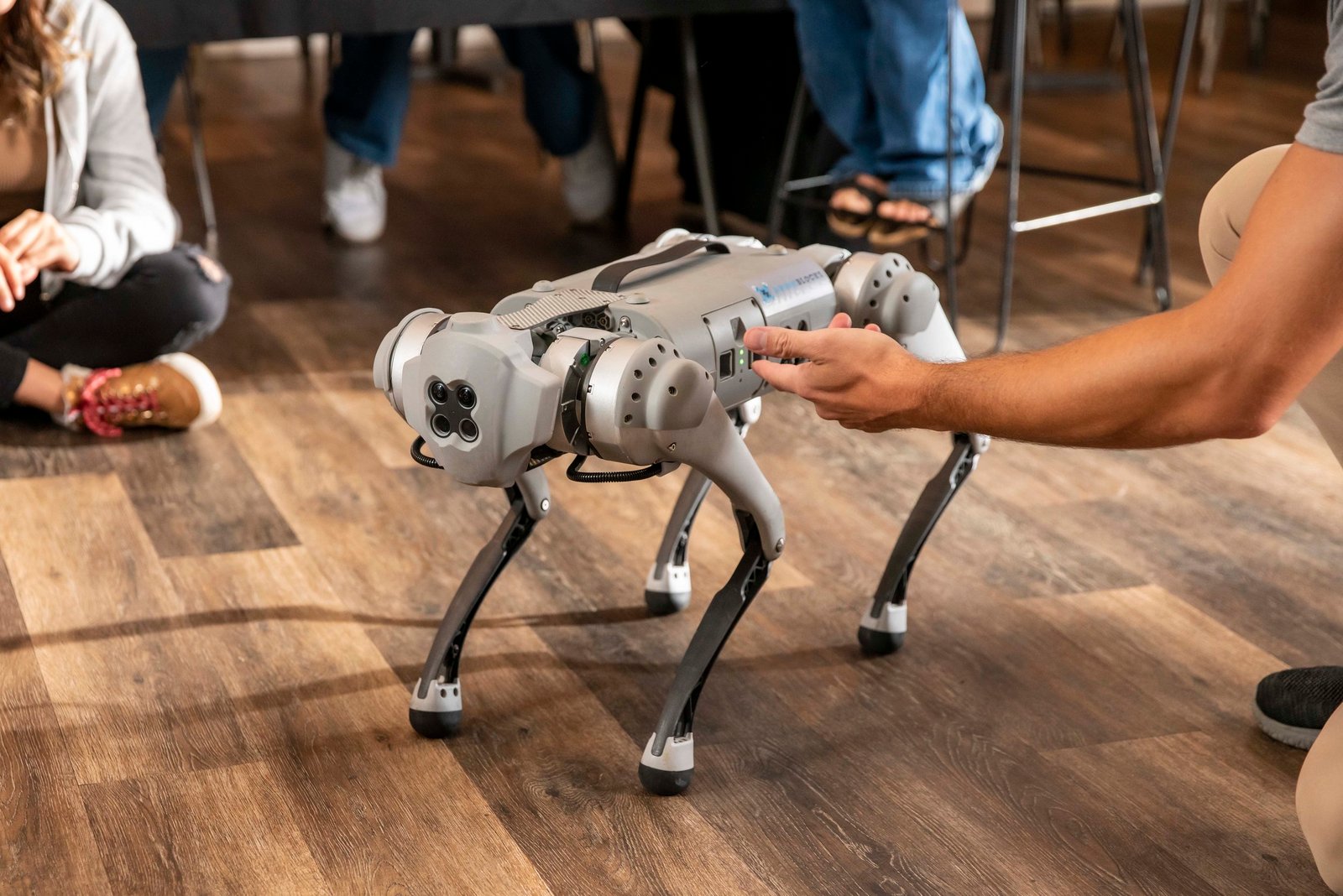 DB_RoboDog_23